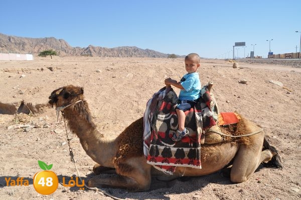 sharm el skhekh 707  (107).JPG